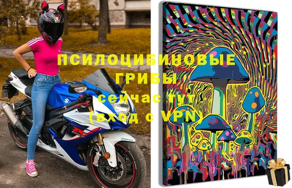 ECSTASY Алзамай