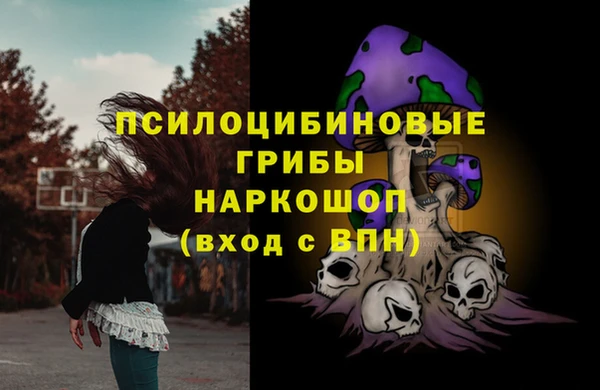 a pvp Абинск