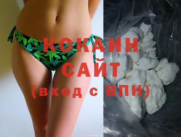 гидра Абаза