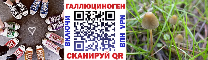Псилоцибиновые грибы мицелий  кракен зеркало  Фролово 
