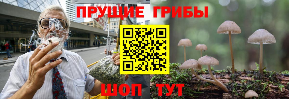 Псилоцибиновые грибы Psilocybe  Вход с VPN  Фролово 