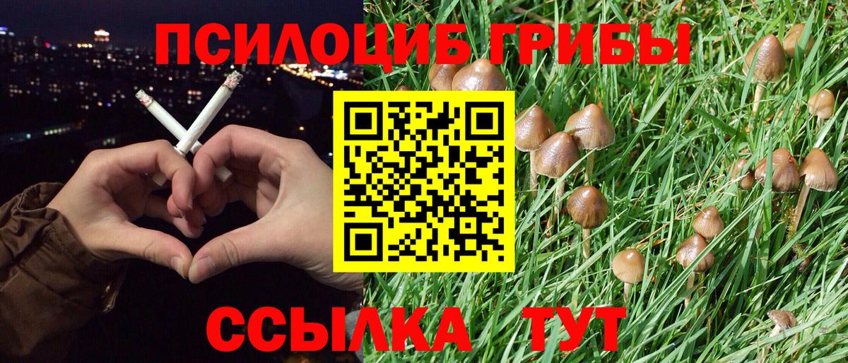 Галлюциногенные грибы MAGIC MUSHROOMS Фролово